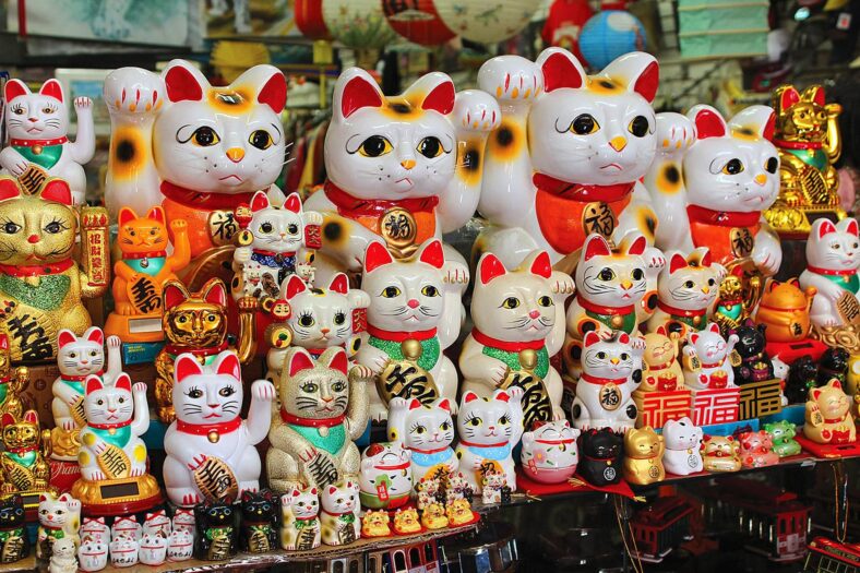 Kenalan Dengan Kucing Ras Dari Jepang Yang Lucu Ini